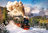 Castorland: Steam Train, Puzzle 1000 Teile